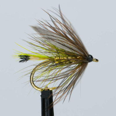 Gold and Olive winged wet