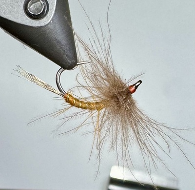 Curved cdc spider