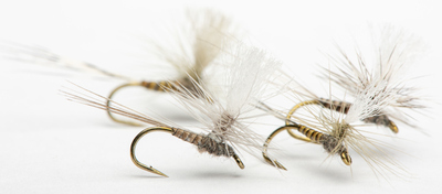 Quill Flies