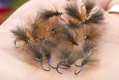 CDC Flies