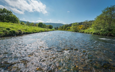 River Don