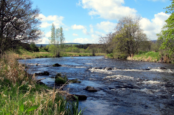 River Don Alford Angling Association