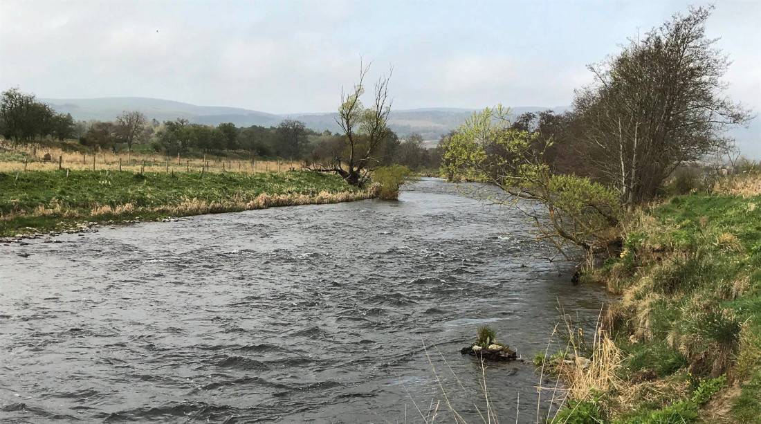 River Don Alford Angling Association River Don Alford Angling Association