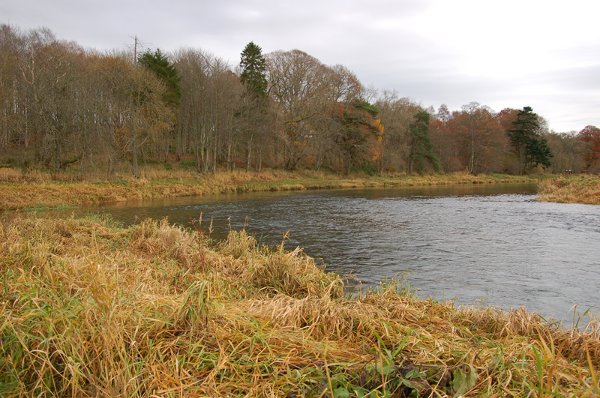 Inverurie Burgh Fishings with the River Ury entering on the left