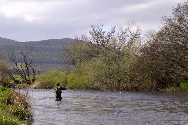 River Trout Fishing