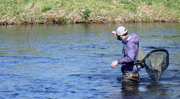 Forum member Liam putting a good bend in his Epic fly rod on the Don
