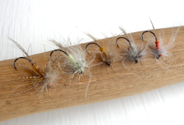 CDC Spiders