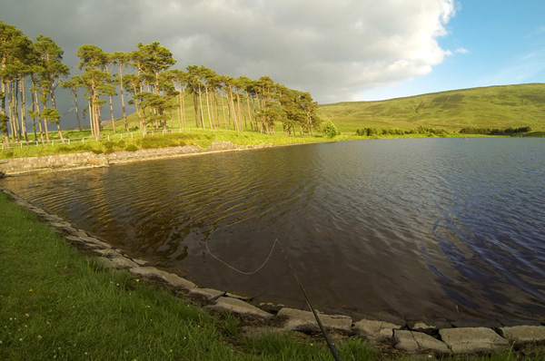 Tinto Trout Fishery