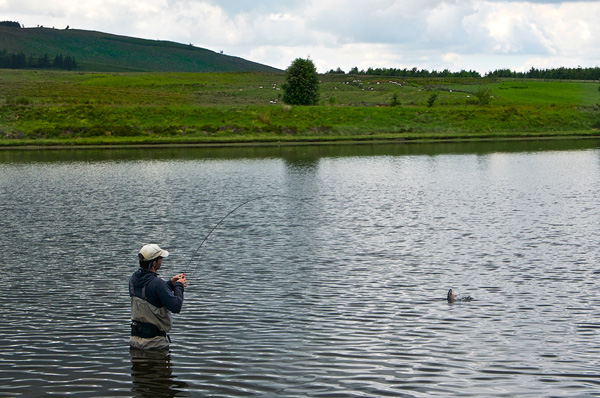 Wading the shallows at Tinto Trout Fishery